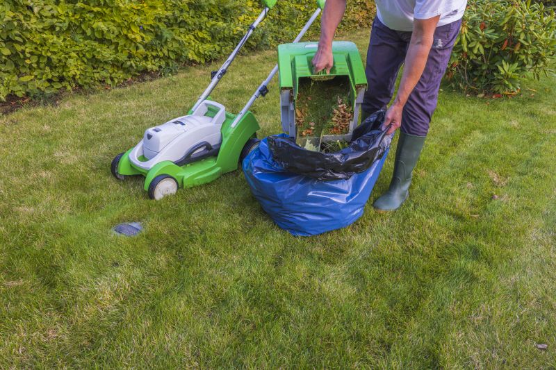 Lawn Health Maintenance