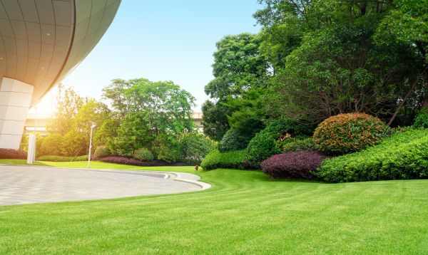 Cost of Commercial Lawn Mowing in Bellevue
