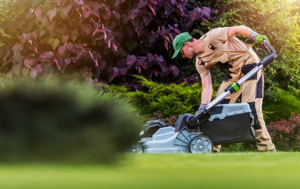 Cost of Lawn Care And Maintenance in Bellevue