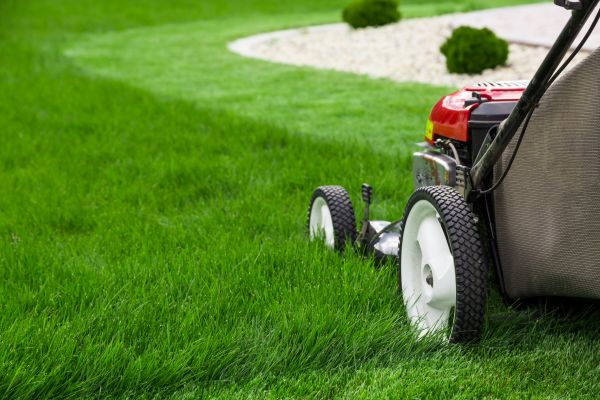 Cost of Mowing Service in Bellevue