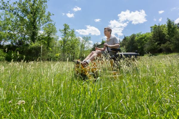 Cost of Tall Grass Mowing in Bellevue