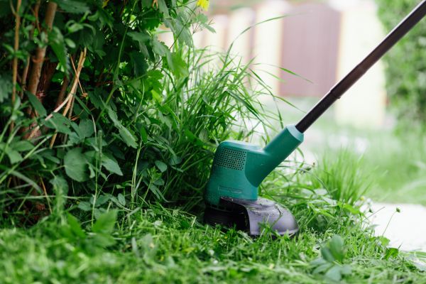 Cost of Weed Whacking in Bellevue