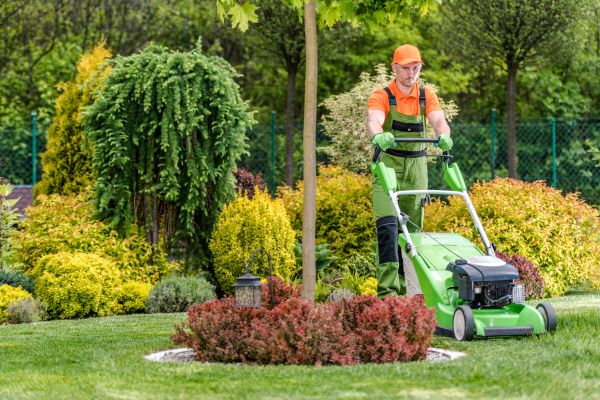 Cost of Yard Service in Bellevue