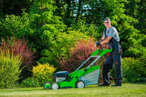 Cost of Yard Work Service in Bellevue