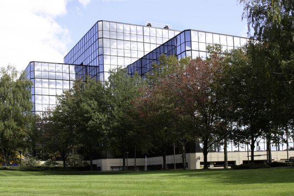 Cost of Commercial Lawn Service in Bellevue