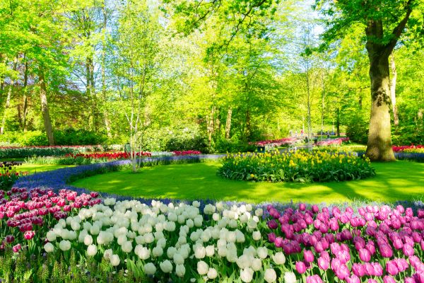 Cost of Spring Lawn Care in Bellevue