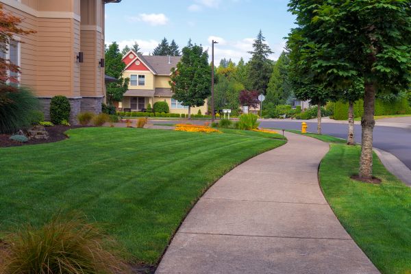 Cost of Home Lawn Maintenance in Bellevue