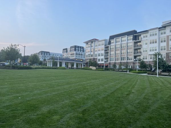 Cost of Urban Lawn Care in Bellevue