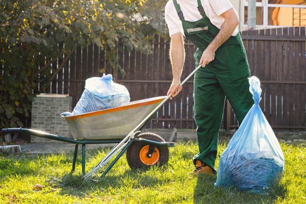 Cost of Yard Cleaning in Bellevue