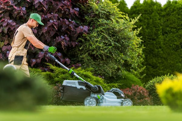 Cost of Lawn Management in Bellevue