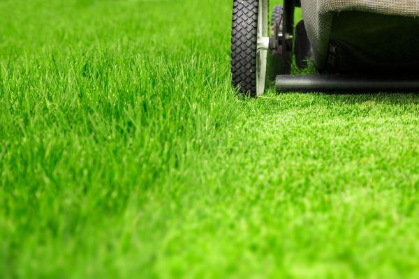 Cost of Weekly Lawn Care in Bellevue