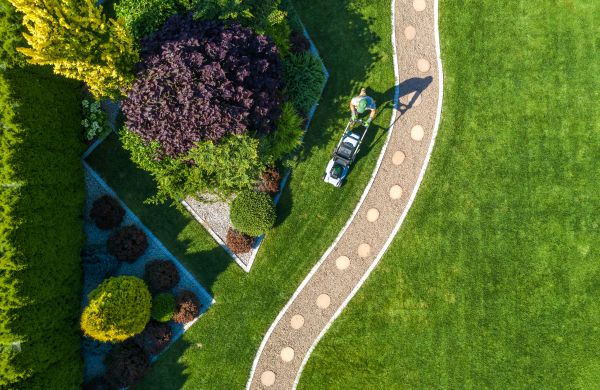 Cost of Mowing And Landscaping in Bellevue