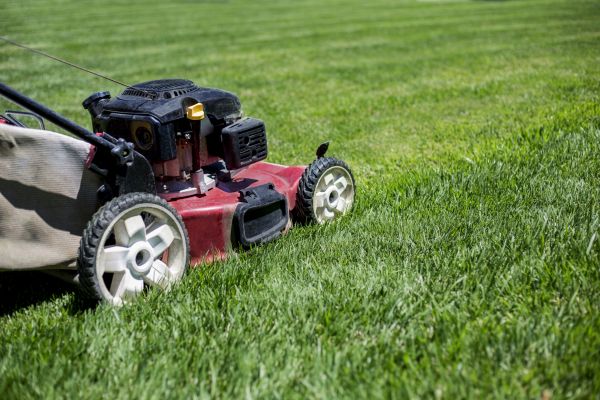 Cost of Routine Lawn Care in Bellevue