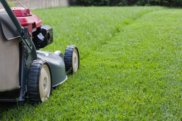 Cost of Summer Lawn Care in Bellevue