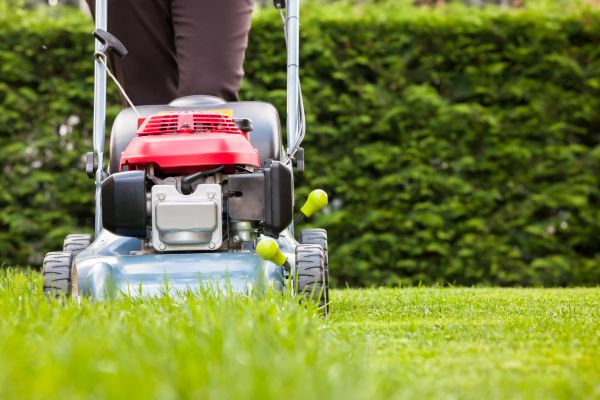 Cost of Grass Trimming Service in Bellevue