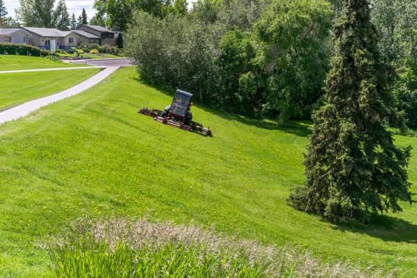 Cost of Hill Mowing in Bellevue