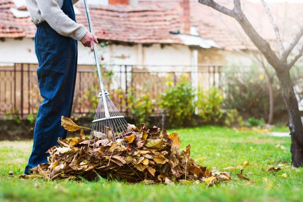 Cost of Routine Lawn Maintenance in Bellevue