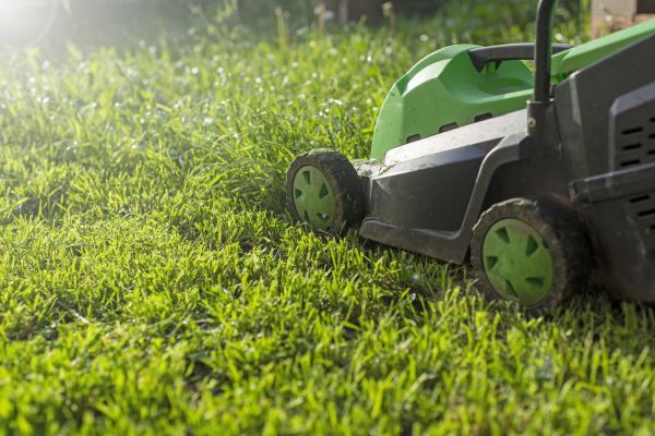 Cost of Residential Lawn Maintenance in Bellevue
