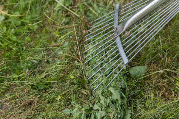 Cost of Thatch Raking in Bellevue