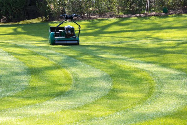 Cost of Business Lawn Mowing in Bellevue