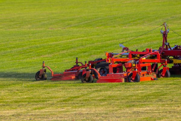 Cost of Industrial Lawn Service in Bellevue