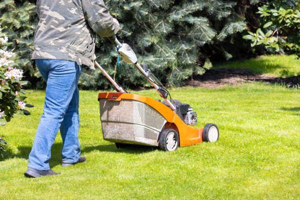 Cost of Springtime Lawn Care in Bellevue