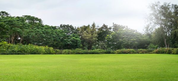 Cost of Golf Course Mowing in Bellevue