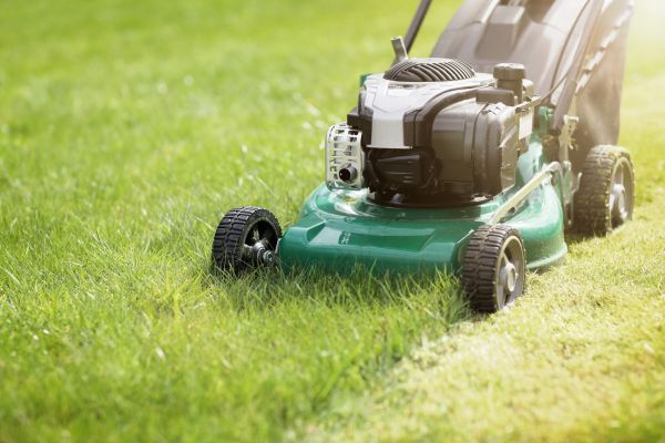 Cost of Spring Grass Trimming in Bellevue