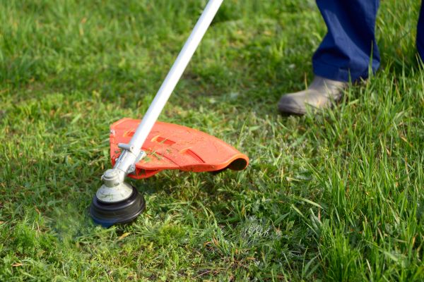 Cost of Lawn Weed Whacking in Bellevue