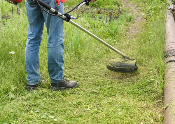Cost of Tall Grass Trimming in Bellevue
