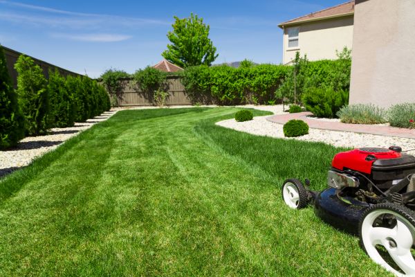 Cost of Residential Lawn Mowing in Bellevue